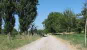 Chemin Neuweiherweg - Rixheim