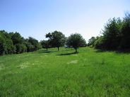 Les collines de Rixheim, un crin de verdure