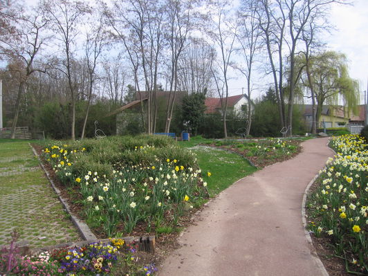 Le biotope, un espace de dtente fleuri au bord du Quatelbach