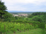 Vue des collines vers le village d'Habsheim