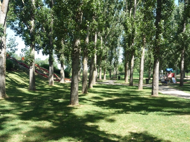 Colline de jeux de Sausheim