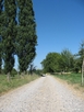 Chemin Neuweiherweg - Rixheim