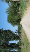 Chemin Neuweiherweg - Rixheim