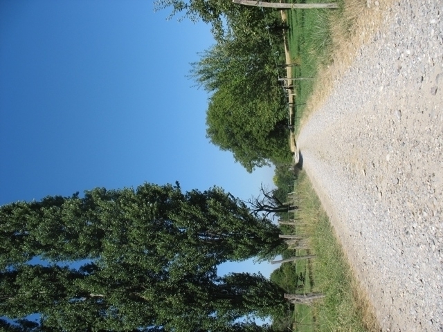 Chemin Neuweiherweg - Rixheim