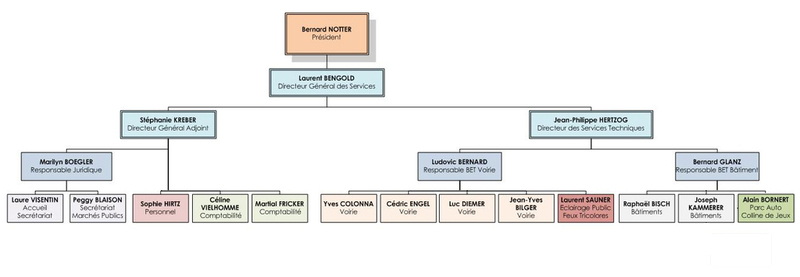 Organigramme SCIN